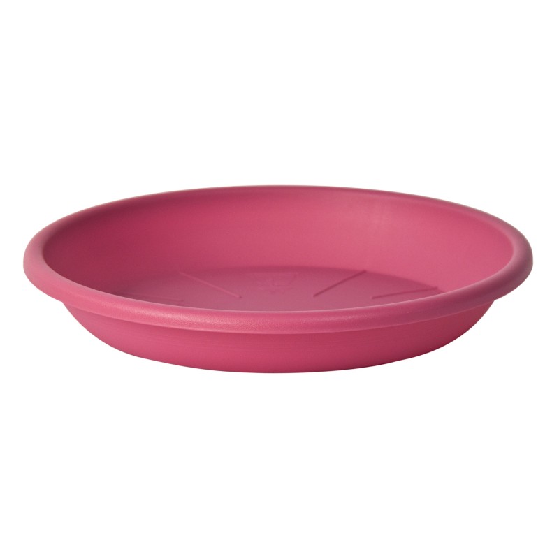 Plato Medea 32 Cm Fuxia