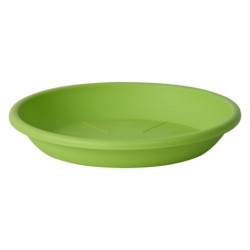 Plato Medea 22 Cm Verde Acido