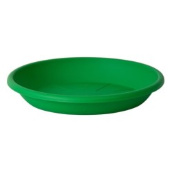 Plato Medea 22 Cm Verde...