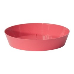 Plato Mitu 14 Cms Rosa