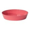 Plato Mitu 14 Cms Rosa