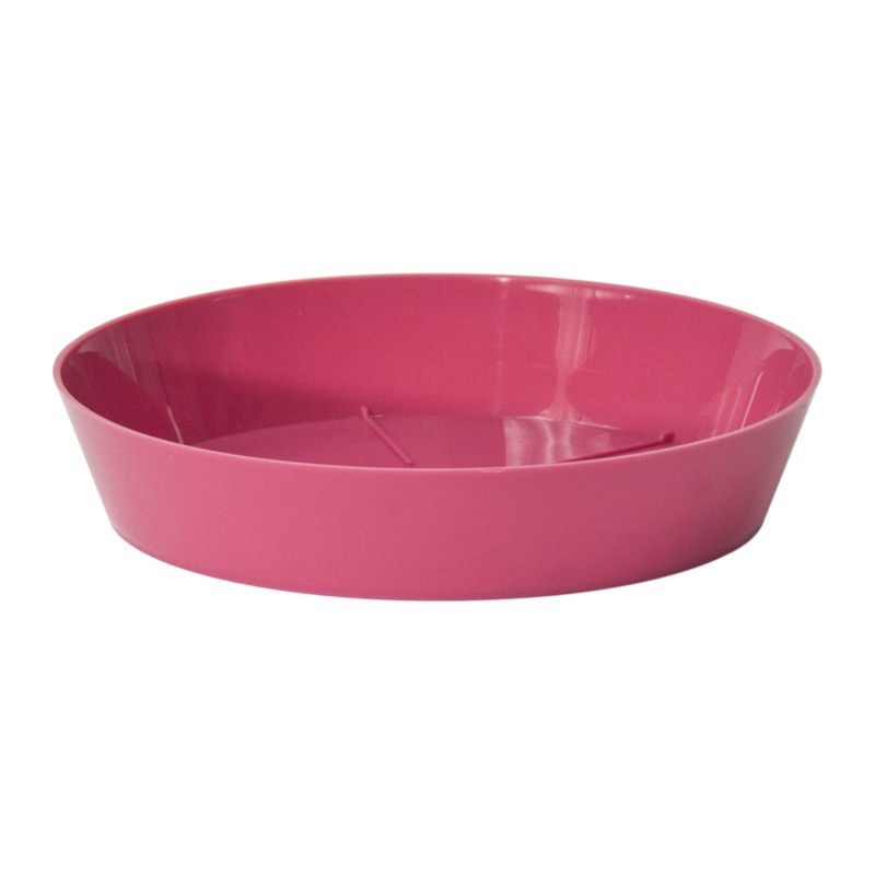 Plato Mitu 14 Cms Fuxia