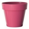 Maceta Mitu Con Agujeros 16cms Fuxia