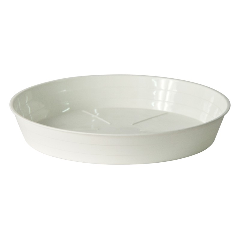 Plato Moplen 35c Blanco