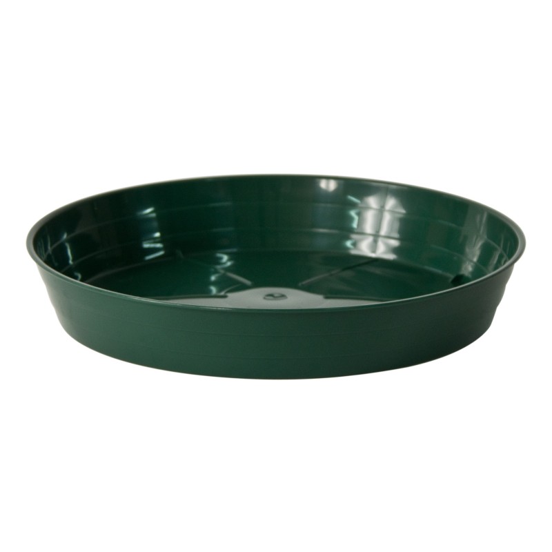 Plato Moplen 16cms Verde