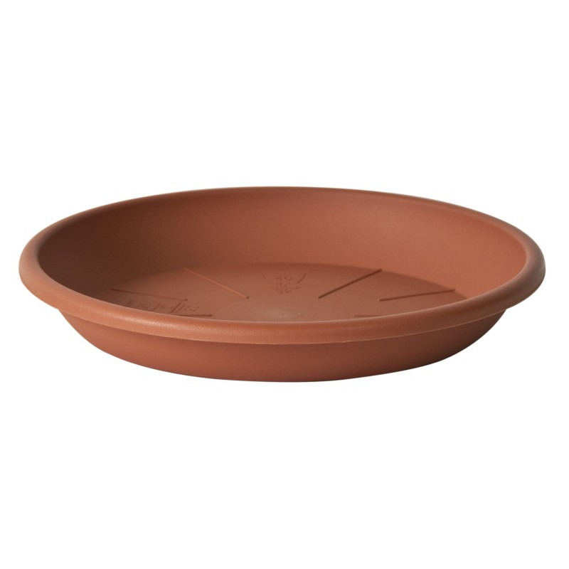 Plato Medea 10 Cm Marron