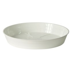 Plato Moplen 35c Blanco