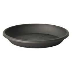 Plato Medea 22 Cms Antracita