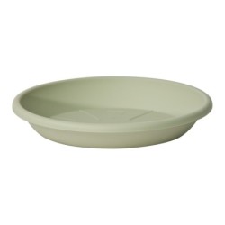 Plato Medea 22 Cm Verde Claro