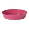 Plato Mitu 14 Cms Fuxia