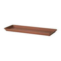 Bandeja Gardenie 50x17 Marron